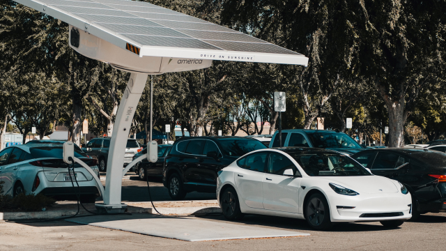 The Future of sustainable trasportation